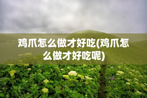 鸡爪怎么做才好吃(鸡爪怎么做才好吃呢)