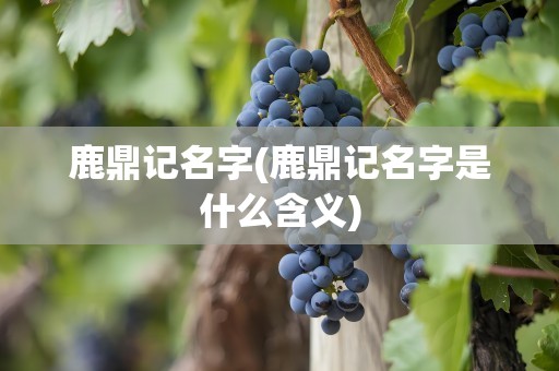 鹿鼎记名字(鹿鼎记名字是什么含义)