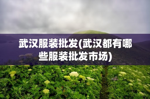 武汉服装批发(武汉都有哪些服装批发市场)