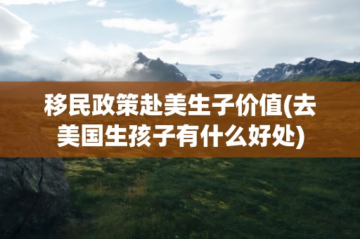 移民政策赴美生子价值(去美国生孩子有什么好处)