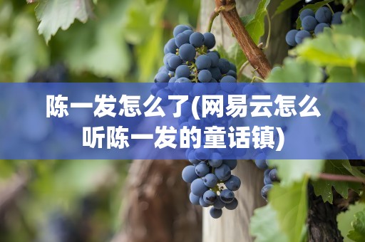 陈一发怎么了(网易云怎么听陈一发的童话镇)