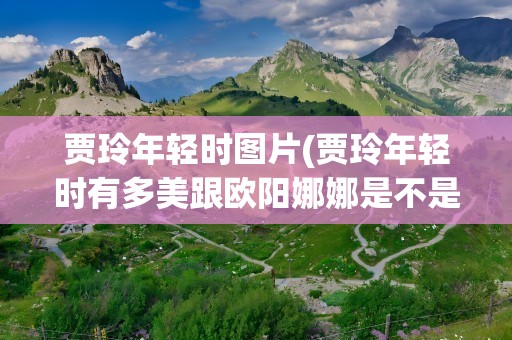贾玲年轻时图片(贾玲年轻时有多美跟欧阳娜娜是不是很像呢)
