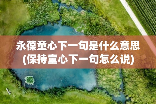 永葆童心下一句是什么意思(保持童心下一句怎么说)