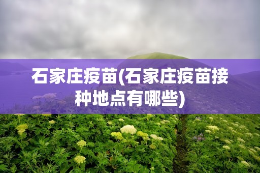 石家庄疫苗(石家庄疫苗接种地点有哪些)