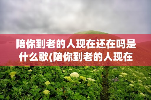 陪你到老的人现在还在吗是什么歌(陪你到老的人现在还在吗是什么歌曲)
