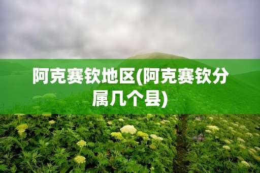 阿克赛钦地区(阿克赛钦分属几个县)