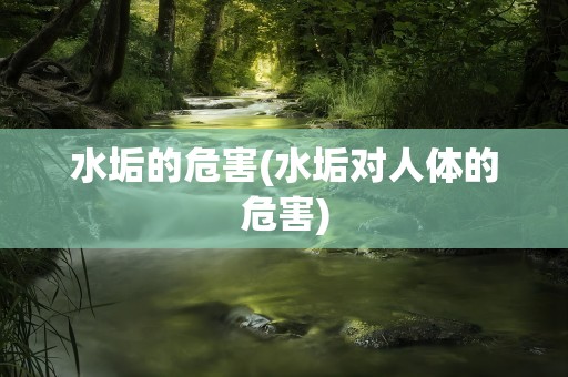 水垢的危害(水垢对人体的危害)
