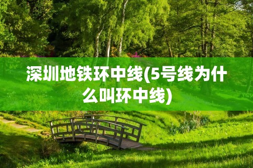 深圳地铁环中线(5号线为什么叫环中线)