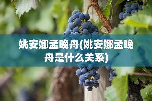 姚安娜孟晚舟(姚安娜孟晚舟是什么关系)