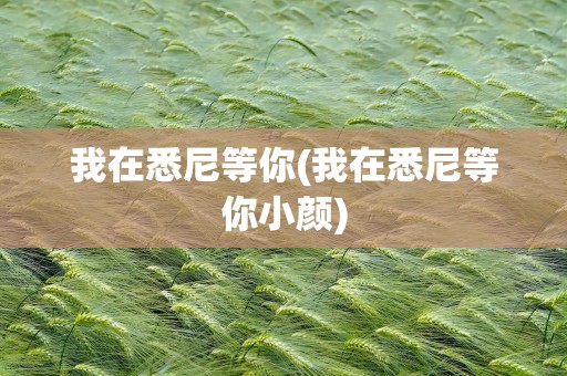 我在悉尼等你(我在悉尼等你小颜)