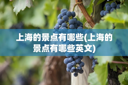 上海的景点有哪些(上海的景点有哪些英文)