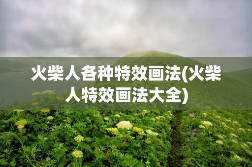 火柴人各种特效画法(火柴人特效画法大全)