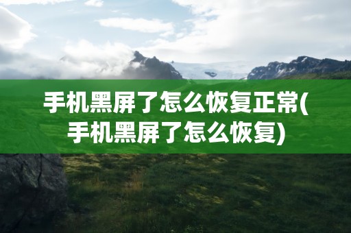 手机黑屏了怎么恢复正常(手机黑屏了怎么恢复)