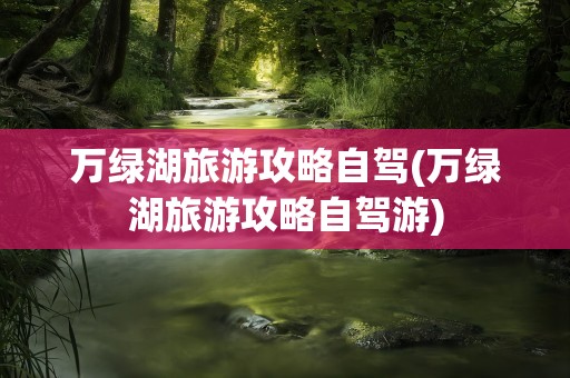 万绿湖旅游攻略自驾(万绿湖旅游攻略自驾游)