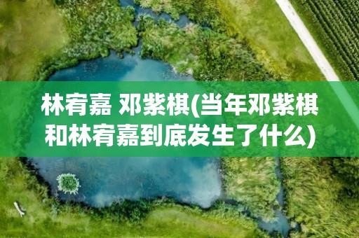 林宥嘉 邓紫棋(当年邓紫棋和林宥嘉到底发生了什么)