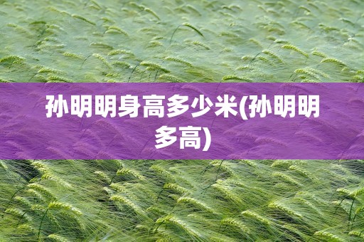 孙明明身高多少米(孙明明多高)