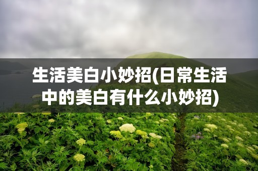 生活美白小妙招(日常生活中的美白有什么小妙招)