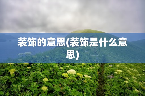 装饰的意思(装饰是什么意思)