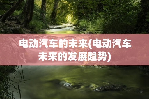 电动汽车的未来(电动汽车未来的发展趋势)