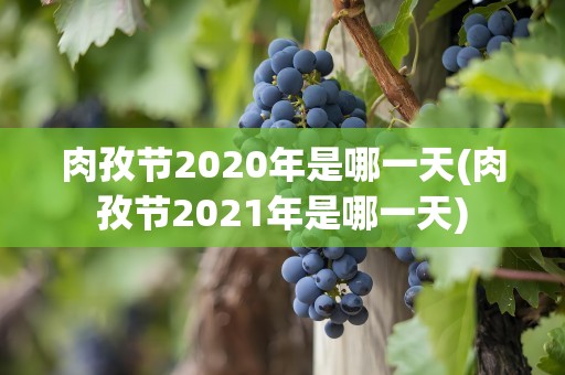 肉孜节2020年是哪一天(肉孜节2021年是哪一天)