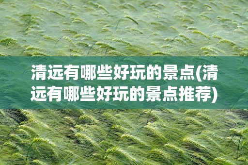 清远有哪些好玩的景点(清远有哪些好玩的景点推荐)