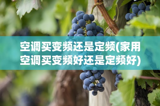 空调买变频还是定频(家用空调买变频好还是定频好)