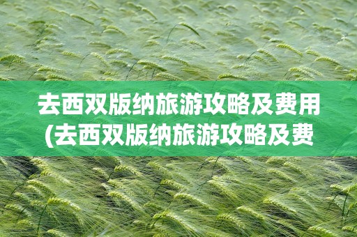 去西双版纳旅游攻略及费用(去西双版纳旅游攻略及费用多少钱)