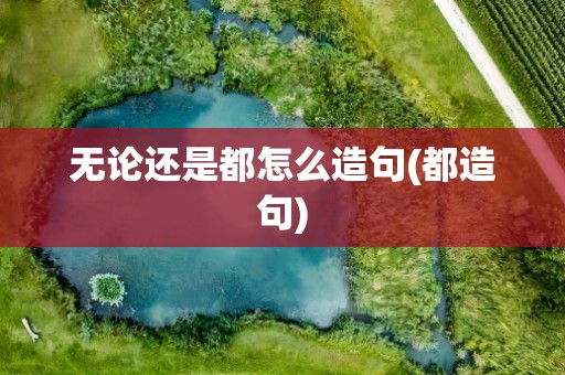 无论还是都怎么造句(都造句)
