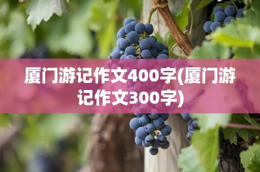 厦门游记作文400字(厦门游记作文300字)