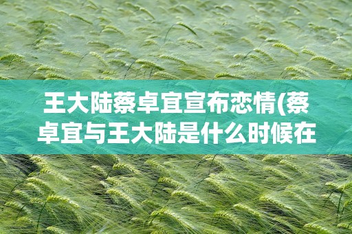王大陆蔡卓宜宣布恋情(蔡卓宜与王大陆是什么时候在一起的他们的恋情是如何开始的)