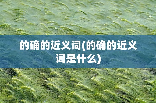 的确的近义词(的确的近义词是什么)