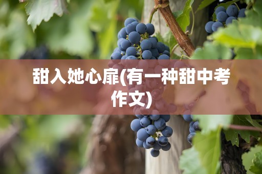 甜入她心扉(有一种甜中考作文)