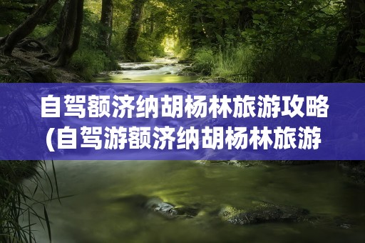 自驾额济纳胡杨林旅游攻略(自驾游额济纳胡杨林旅游攻略)