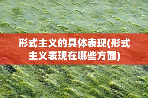 形式主义的具体表现(形式主义表现在哪些方面)