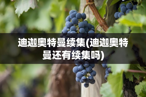 迪迦奥特曼续集(迪迦奥特曼还有续集吗)