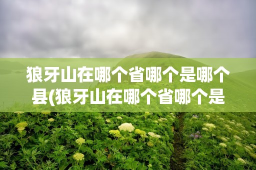 狼牙山在哪个省哪个是哪个县(狼牙山在哪个省哪个是哪个县五壮士)