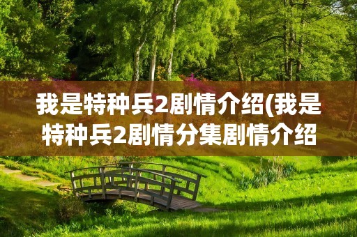 我是特种兵2剧情介绍(我是特种兵2剧情分集剧情介绍)