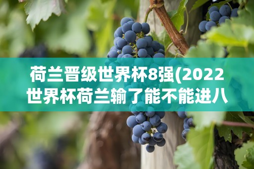 荷兰晋级世界杯8强(2022世界杯荷兰输了能不能进八强)