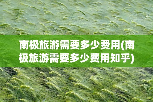 南极旅游需要多少费用(南极旅游需要多少费用知乎)