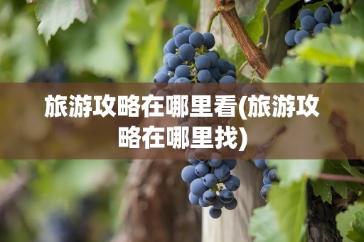 旅游攻略在哪里看(旅游攻略在哪里找)