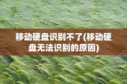 移动硬盘识别不了(移动硬盘无法识别的原因)
