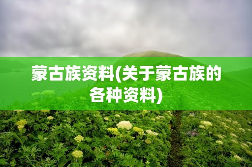 蒙古族资料(关于蒙古族的各种资料)