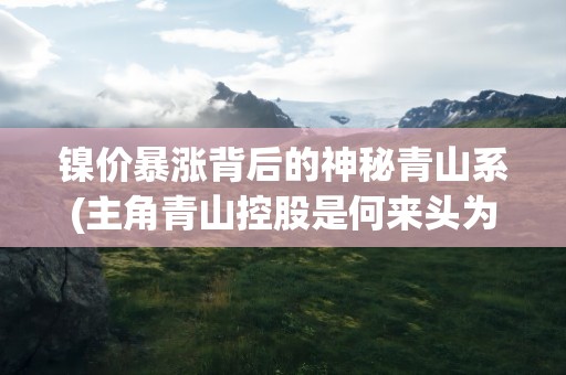 镍价暴涨背后的神秘青山系(主角青山控股是何来头为何持有空头合约)