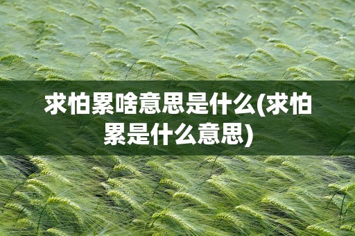求怕累啥意思是什么(求怕累是什么意思)