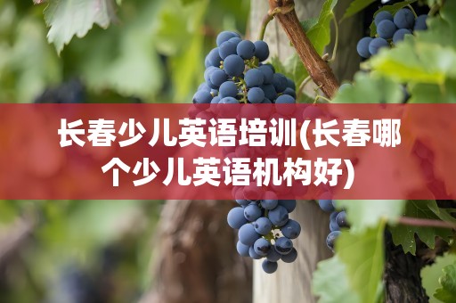 长春少儿英语培训(长春哪个少儿英语机构好)