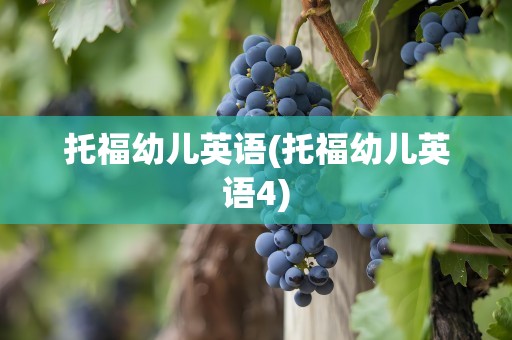 托福幼儿英语(托福幼儿英语4)