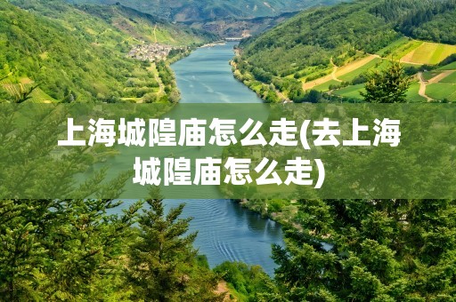 上海城隍庙怎么走(去上海城隍庙怎么走)