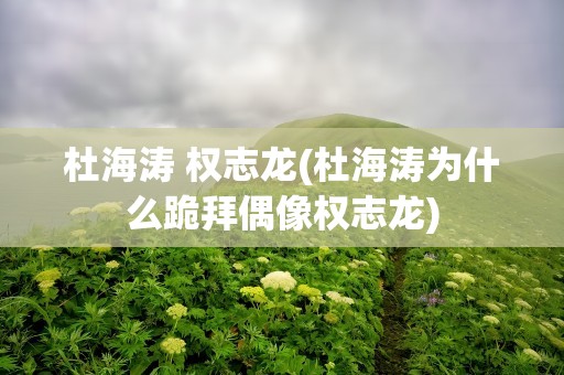杜海涛 权志龙(杜海涛为什么跪拜偶像权志龙)