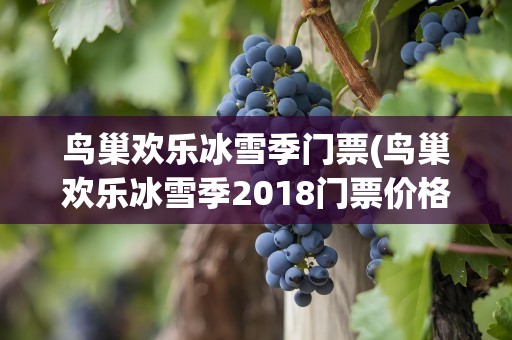 鸟巢欢乐冰雪季门票(鸟巢欢乐冰雪季2018门票价格2018鸟巢欢乐冰雪季门票优惠政策)