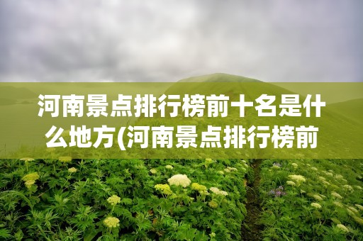 河南景点排行榜前十名是什么地方(河南景点排行榜前十名是什么地方视频)